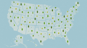Arbor day across the USA